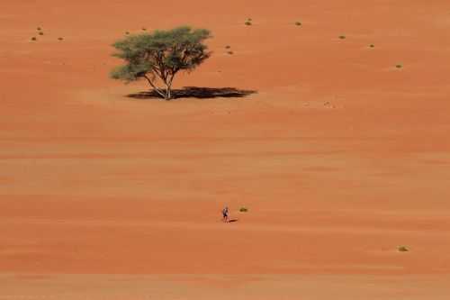 OMAN DESERT MARATHON | 165K 2014